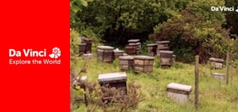 Do You Know? - Beehive & Mug