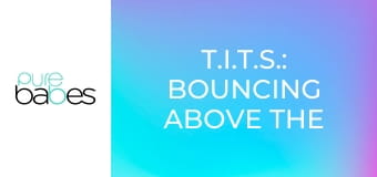 T.I.T.S.: Bouncing Above the Law E230