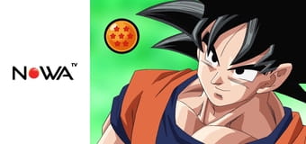 Dragon Ball Z Kai E20