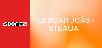 Labdarúgás - Steaua - Barcelona