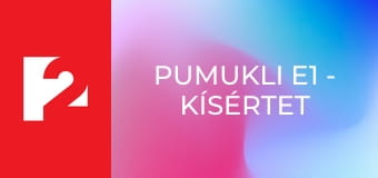 Pumukli E1 - Kísértet a műhelyben