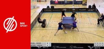 Asztalitenisz: Országos Bajnokság