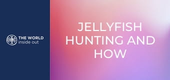 Lov medúz a čínske recepty na ich prípravu. Čína.