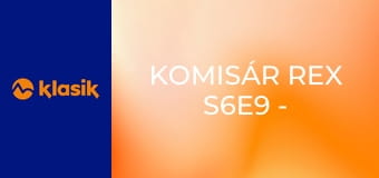 Komisár Rex S6E9 - Podvod