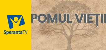 Pomul vieţii