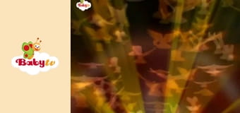 Moon and Stars - Milky Way