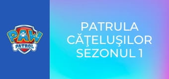 Patrula căţeluşilor Sezonul 1 Episodul 16
