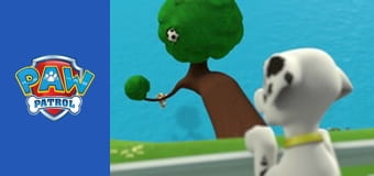 Tlapková patrola 1. série, 12. díl