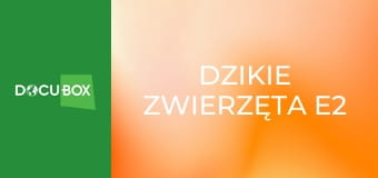 Dzikie zwierzęta E2