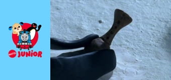 Pingu Sezonul 6 Episodul 16