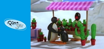 Pingu Sezon 6 Odcinek 12 Pingu Sezon 6 Odcinek 12