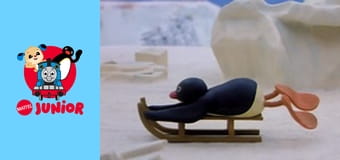 Pingu Sezonul 1 Episodul 7