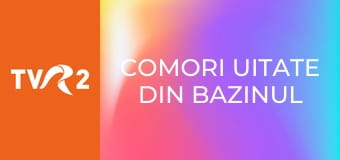 Comori uitate din bazinul Mediteranei - Muzeul de artă coptă din Cairo