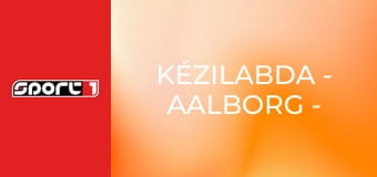 Kézilabda - Aalborg - Füchse Berlin