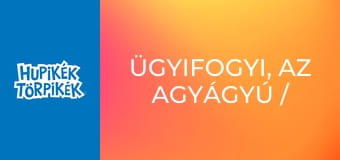 Ügyifogyi, az agyágyú / A jó vendég