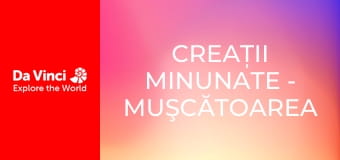 Creații minunate - Muşcătoarea cu cioc