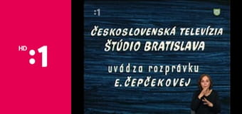 Meduška E10 - Meduškine trampoty s chrobáčikom