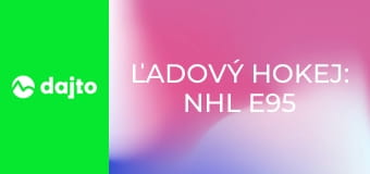 Ľadový hokej: NHL E95
