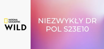 Niezwykły dr Pol S23E10 - Schematy i wyjątki