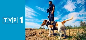 My, nasze zwierzęta i wojna