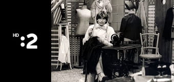 O smelom krajčírikovi