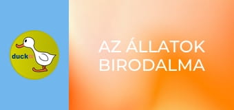 Az állatok birodalma Az állatok birodalma