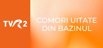 Comori uitate din bazinul Mediteranei - Muzeul de arheologie submarină din Cartagena