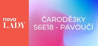 Čarodějky S6E18 - Pavoučí démonka