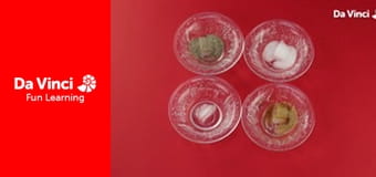 Smart Science - The Melting Ice Race