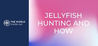 Medúzavadászat és a medúza elkészítési módjai. Kína.