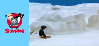 The Pingu Show Sezon 1 Episod 40