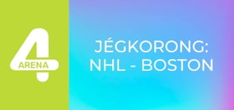 Jégkorong: NHL - Boston Bruins – Washington Capitals