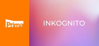 Inkognito