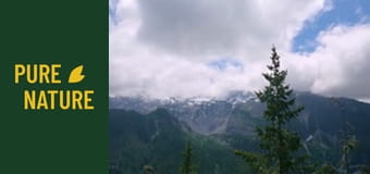 Parcul Național Mount Rainier