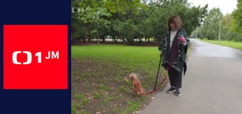 13. komnata - Uršuly Klukové