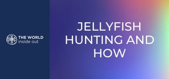 Lov medúz a čínske recepty na ich prípravu. Čína.