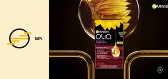 Szerelmes földrajz - Otthonom Óbuda – Koltai Lajos