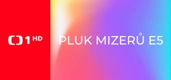 Pluk mizerů E5
