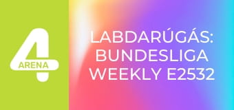 Labdarúgás: Bundesliga Weekly E2532