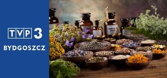 Zielnik regionalny E6