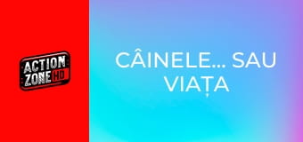 Câinele... sau viața