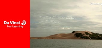 Siyaya - Come Wild With Us - Search for the Big Seven Part 3: Whale of a Time