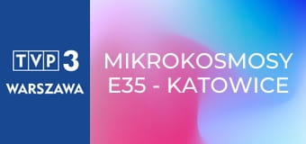 Mikrokosmosy E35 - Katowice Rawa