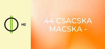 44 csacska macska - Téli Bajszilimpia