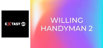 Willing Handyman 2