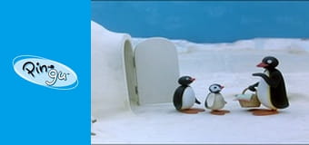 The Pingu Show Sezon 1 Odcinek 31