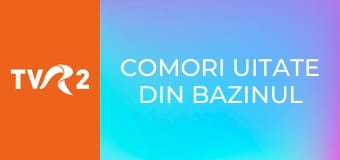 Comori uitate din bazinul Mediteranei - Muzeul Naţional din Beirut