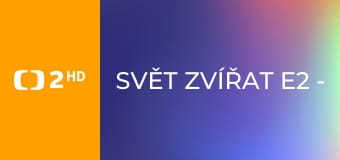 Svět zvířat E2 - Koně