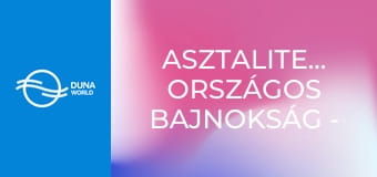Asztalitenisz: Országos Bajnokság - Összefoglaló