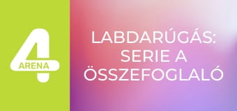Labdarúgás: Serie A összefoglaló - 30. forduló
